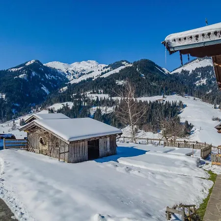 Boar Hof 1 Apartment Kirchberg in Tirol